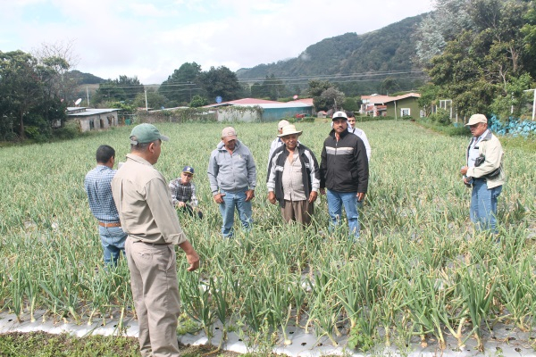 Productores De Herrera Y Los Santos Visitan Tierras Altas Chiricanas