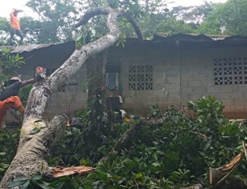 Personal del MIVIOT, atiende a 8 familias afectadas por contingencias en Chiriquí, Coclé y Veraguas