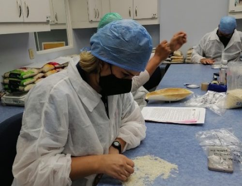 ACODECO presenta resultados de la calidad del arroz pilado