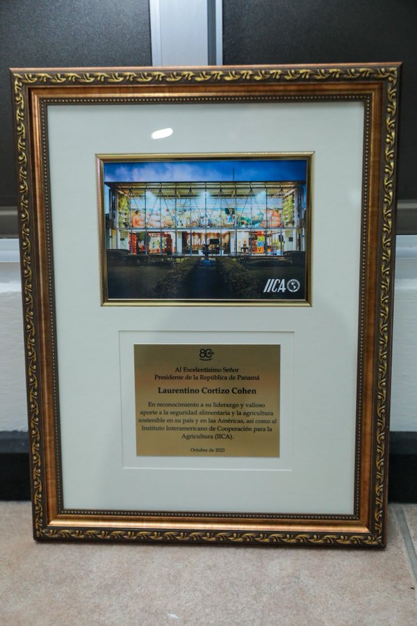 CORTIZO RECONOCIMIENTO 4