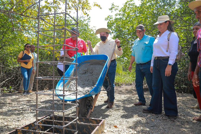 CORTIZO EN LOS SANTOS 2