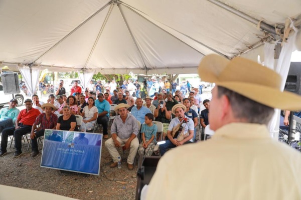 CORTIZO EN LOS SANTOS 3