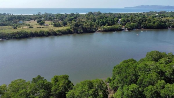 CORTIZO EN LOS SANTOS 7