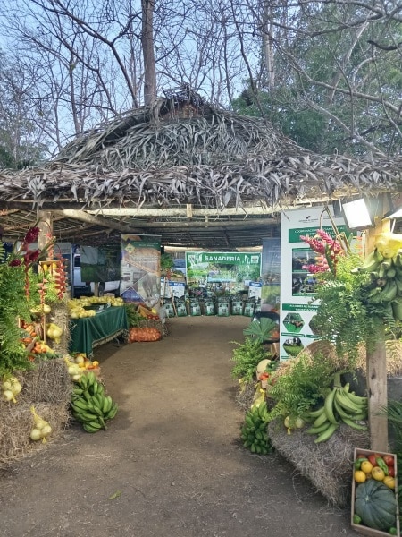 MiAMBIENTE Los Santos presentó pabellón en la feria del Bosque Comunal El Colmón, en Macaracas
