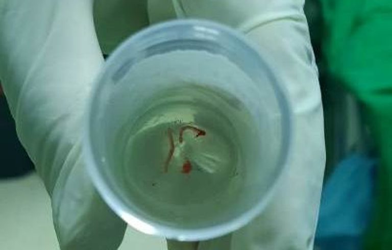 CREATOR: gd-jpeg v1.0 (using IJG JPEG v62), quality = 82