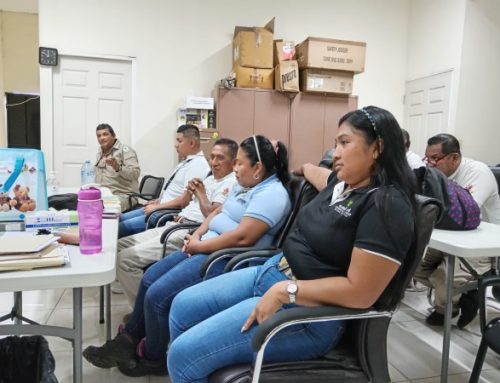 Control de vectores reactivará trabajos de fumigación en Bocas del Toro