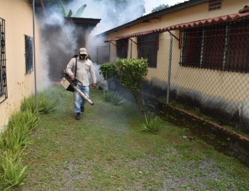 Inspecciones son necesarias para control el dengue en Chiriquí