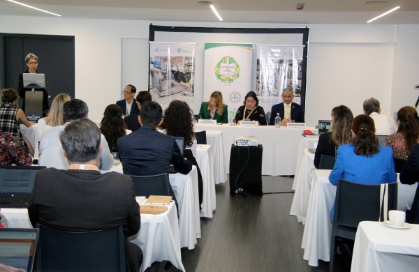 CIERRE DEL RAE MINSA 4