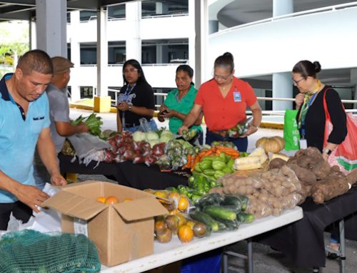 Éxito rotundo primera feria de alimentos organizada por el MICI