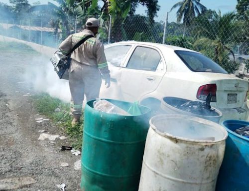 Intensifican fumigación contra los mosquitos en Colón