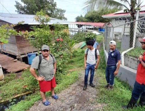 MIDA en Bocas del Toro refuerza acciones de monitoreo y prevención de plagas en cultivos