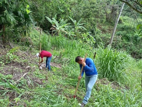 Reforestan área cercana a la toma de agua en la comunidad de Las Lomas en La Pintada