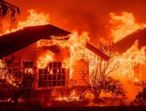 El caso de Los Ángeles «ilustra los límites de la extinción de los incendios catastróficos»