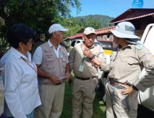 MINSA reitera a la población medidas de prevención para reducir criaderos de mosquitos