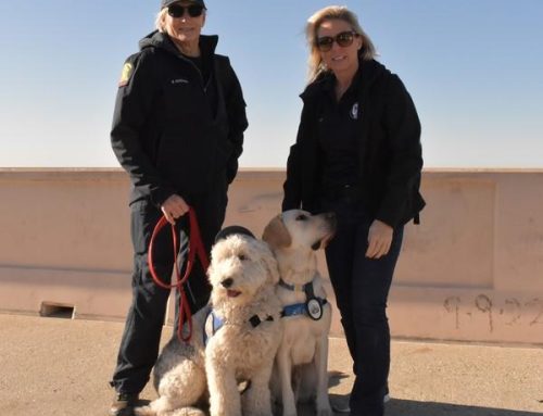 Perros de apoyo emocional ayudan a los bomberos que combaten los incendios en California