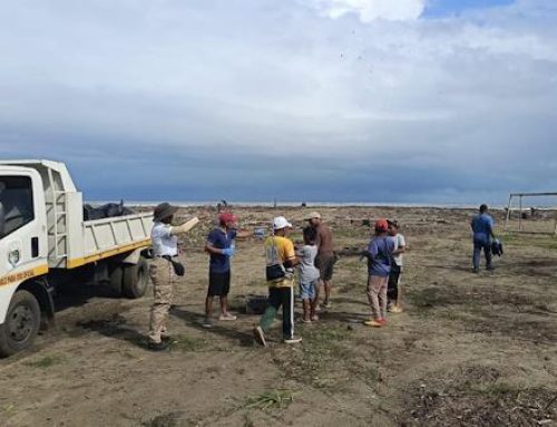 Centro de Salud de Miguel de la Borda realiza jornada de limpieza en playa y comunidad