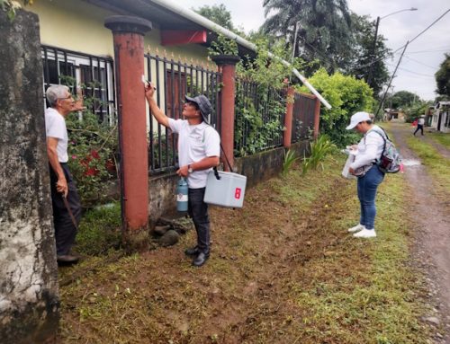 Baja infestación de Aedes Aegypti en Chiriquí