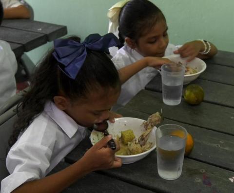 ALIMENTACIÓN ESCOLAR 3