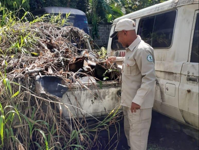 BOCAS VECTORES DENGUE 6