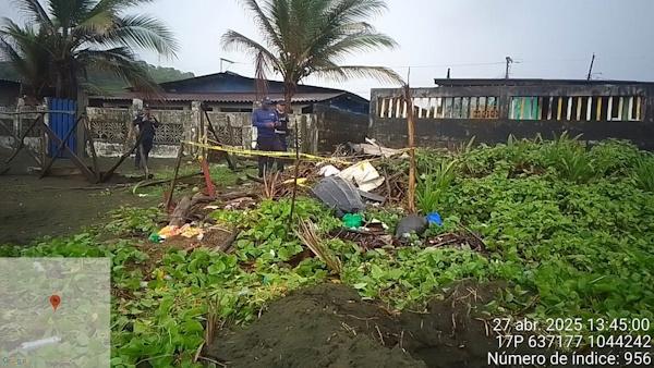 TORTUGA BAULA MUERTA 5