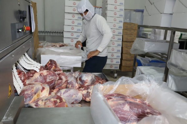 carne 2