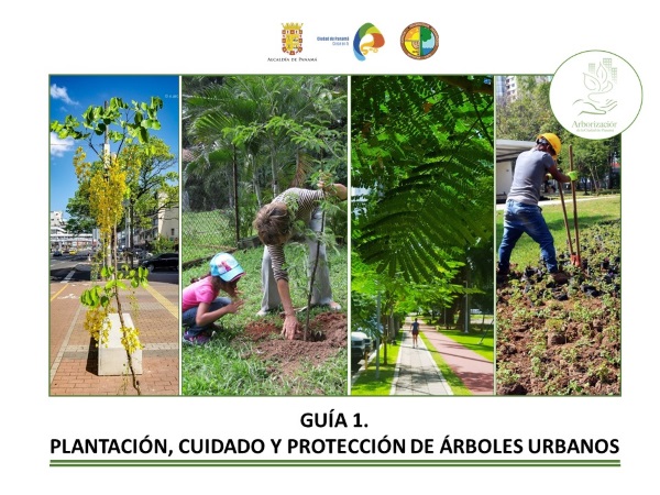 guía 1