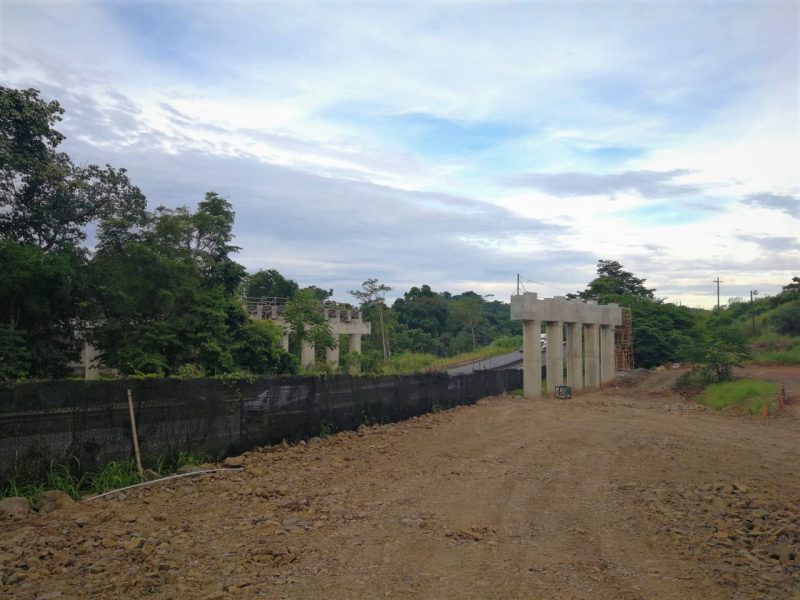cocoli-mejorada-2