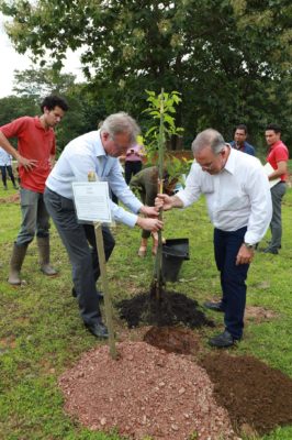 siembra de árbol 1