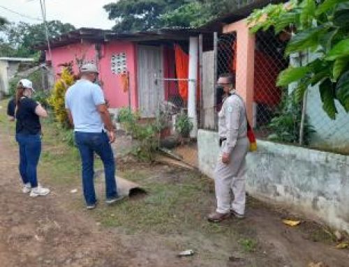 Intensifican operativos para evitar criaderos de mosquitos, en Los Santos
