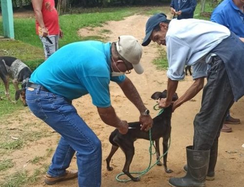 Jornada de Vacunación y desparasitación de perros y gatos en Las playas el Pito y Mermejo, en el distrito de Soná