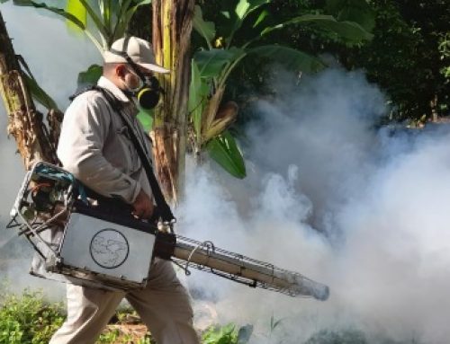 Malaria es un riesgo latente en Chiriquí, aunque no hay casos autóctonos