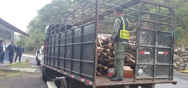 Policía incauta cargamento ilegal de madera en Chiriquí