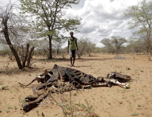 Registran una ola de calor en el Sahel de más de 45 grados “imposible” sin el cambio climático