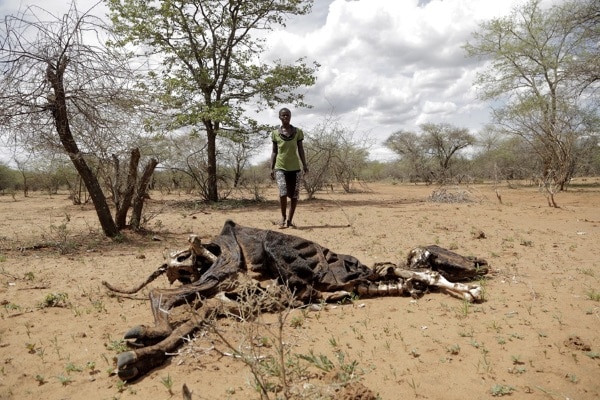 Registran una ola de calor en el Sahel de más de 45 grados “imposible” sin el cambio climático