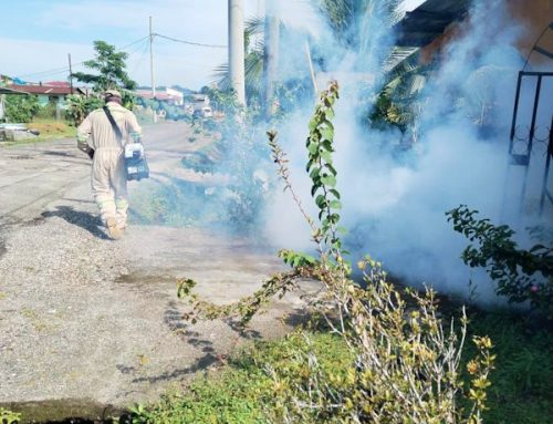 Intensifican fumigación contra los mosquitos en Colón