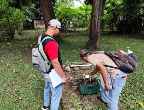 MINSA advierte sobre factores de riesgo de hantavirus