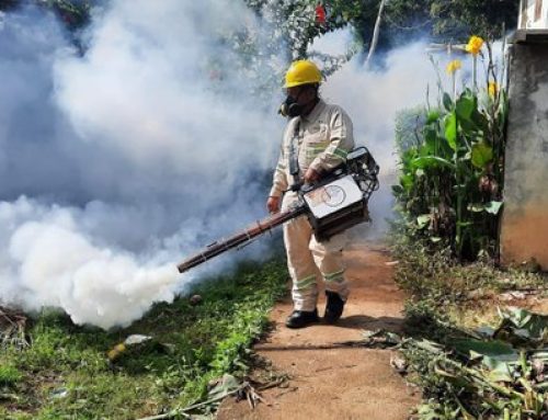 MINSA presenta informe actualizado de dengue a nivel nacional