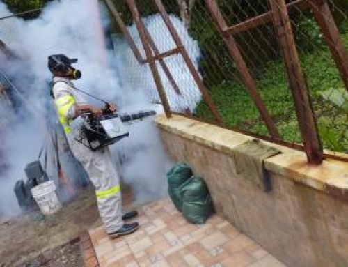 Vectores en Panamá Norte nebulizan áreas afectadas por las lluvias