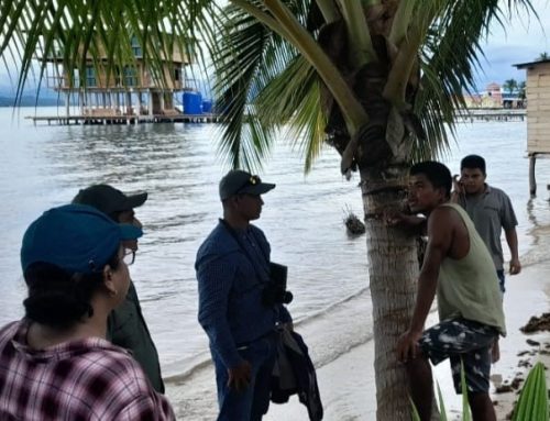 MIDA en Bocas del Toro refuerza acciones de monitoreo y prevención de plagas en cultivos