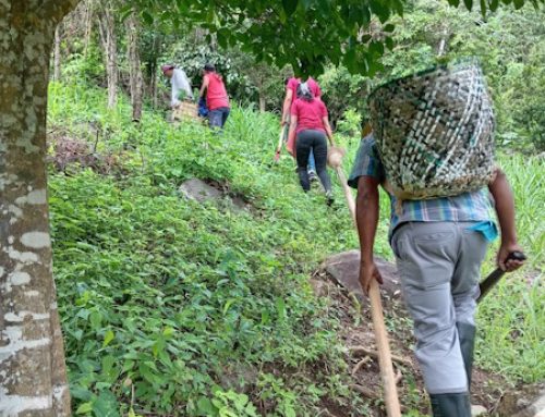 Reforestan área cercana a la toma de agua en la comunidad de Las Lomas en La Pintada