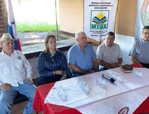 MIDA y productores, buscan mejorar sector lechero