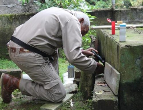 Intensificar tareas de prevención es crucial para combatir el dengue