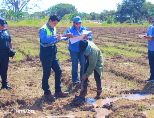 MITRADEL realiza jornadas de prevención contra el trabajo infantil en zonas agrícolas de Coclé