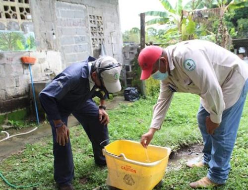 MINSA pide a veragüenses eliminar criaderos de mosquito