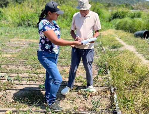 MIDA realiza monitoreo para evitar contaminantes en la producción agrícola