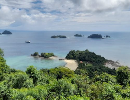 MiAMBIENTE reitera que están vigentes restricciones de pesca para naves nacionales y extranjeras en Cordillera de Coiba