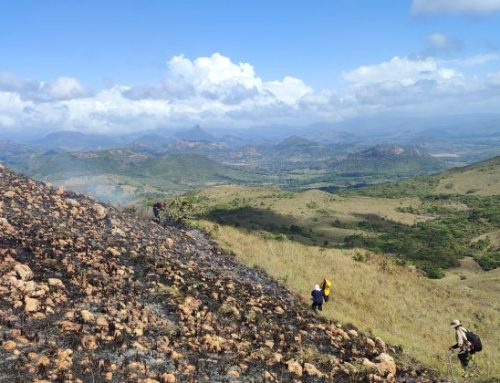 Bomberos y MiAMBIENTE, logran controlar incendio en “La Yeguada”