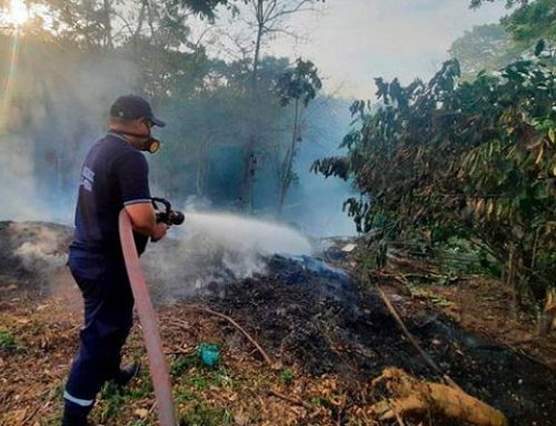 Bomberos y MiAmbiente extinguen incendio forestal en Cerro Campana