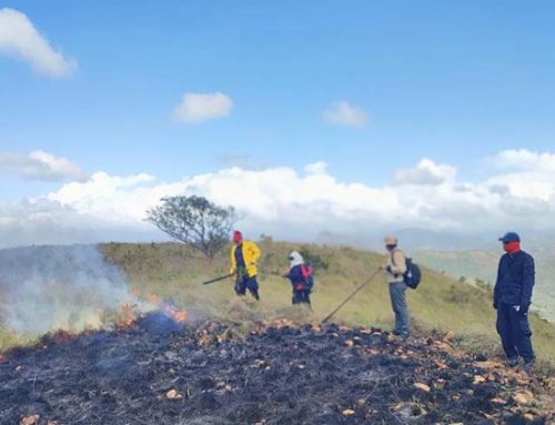 DIJ y Ministerio Público inician investigaciones sobe el Incendio en Cerro Guacamaya, mientras el BCBRP atiende 241 incendios de masa vegetales