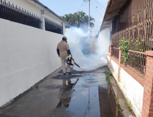 En Parque Lefevre inició el operativo de movilización para la eliminación de criaderos de mosquitos